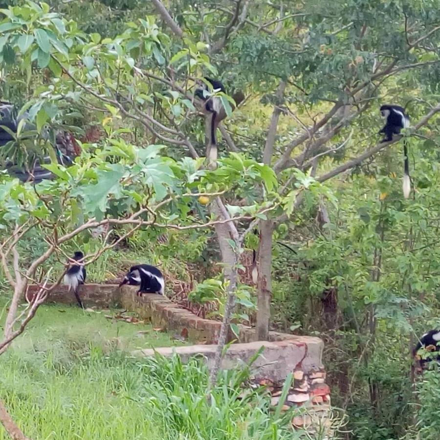 Kyaninga Royal Lodge Fort Portal